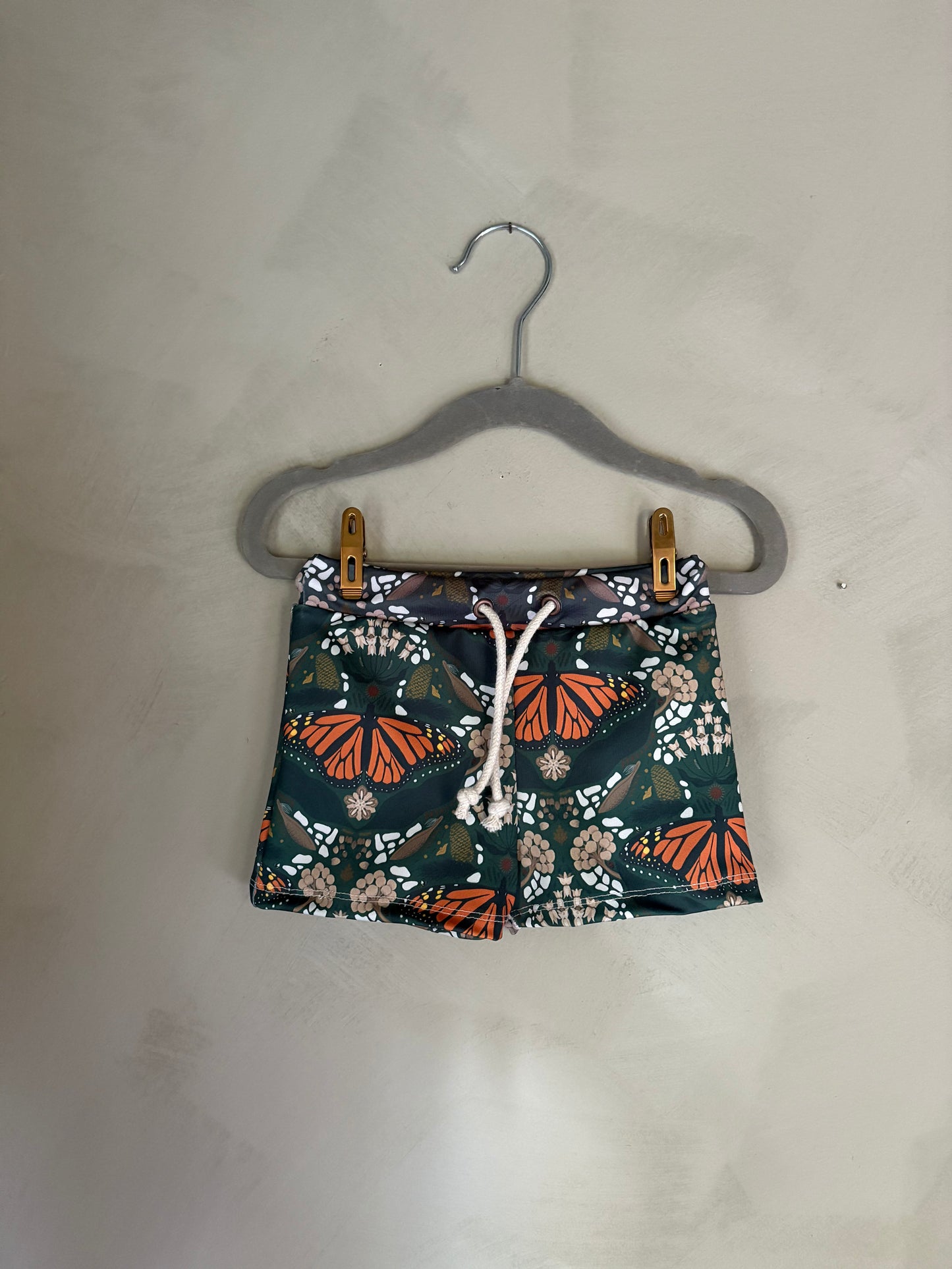 New Barrel Brief in Monarchs & Milkweed