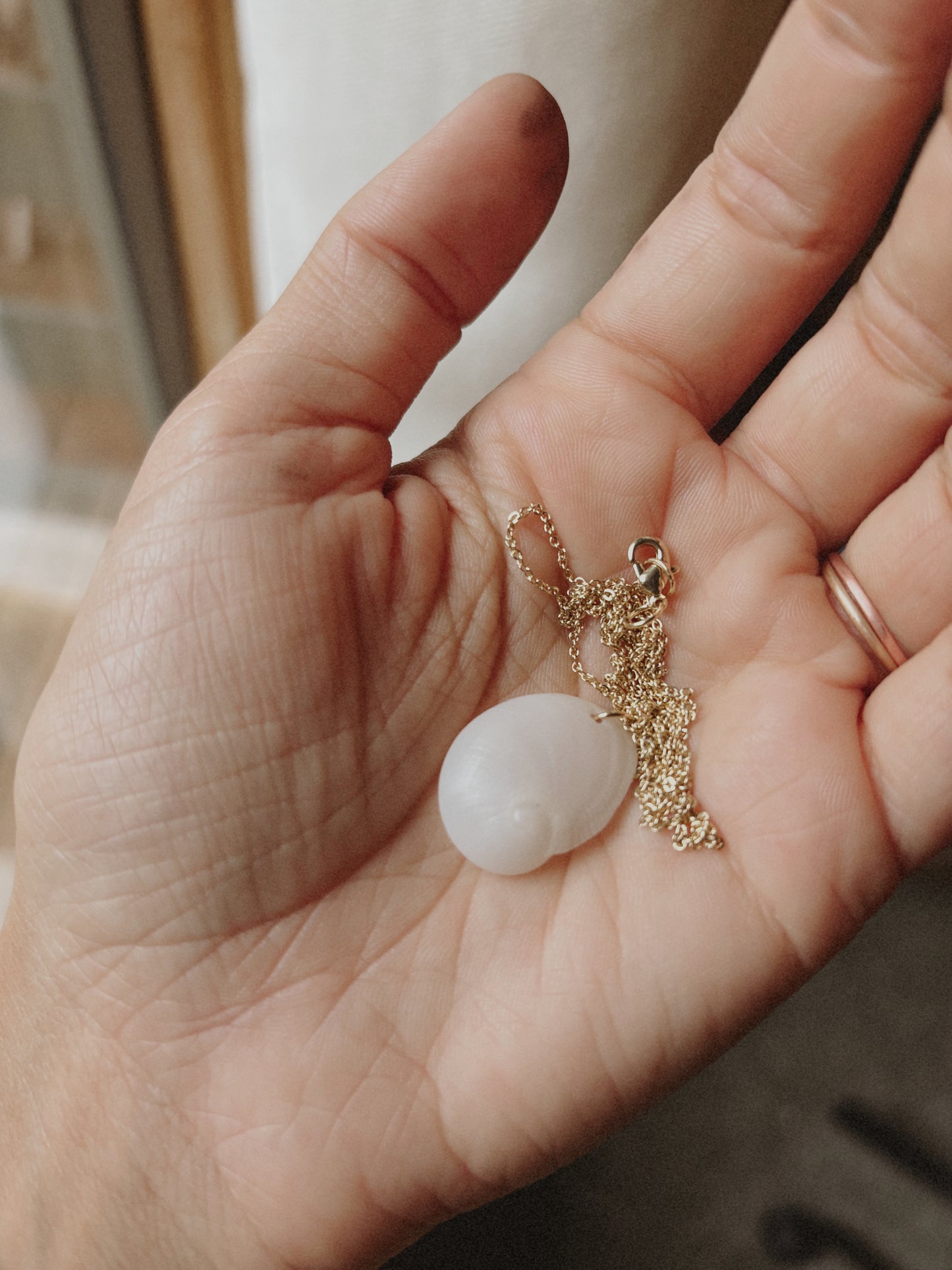 Baby’s Ear Shell Necklace