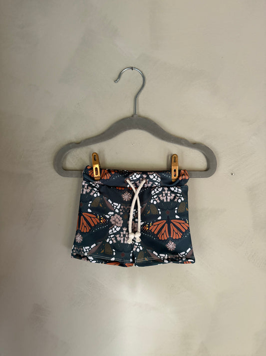 New Barrel Brief in Monarchs & Milkweed