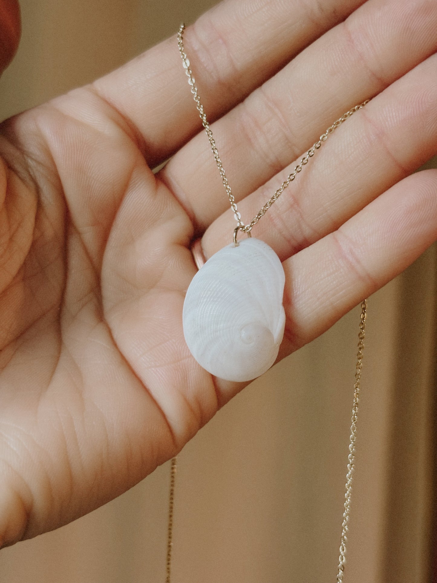 Baby’s Ear Shell Necklace