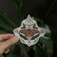 Monarchs and Milkweed Sticker