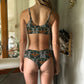 Diver Bottoms in Monarchs & Milkweed