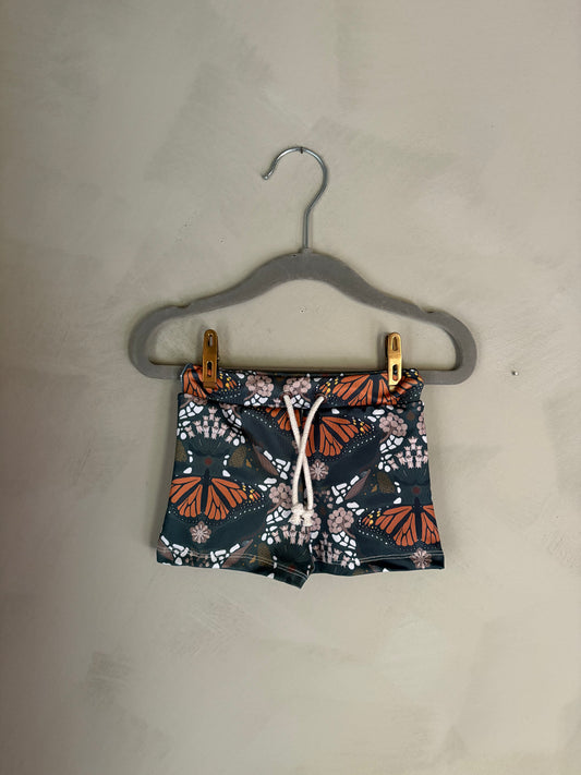 New Barrel Brief in Monarchs & Milkweed