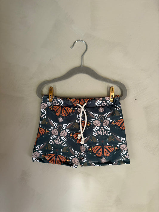 New Barrel Brief in Monarchs & Milkweed